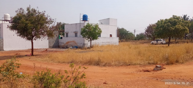 Vacant land Tirupur