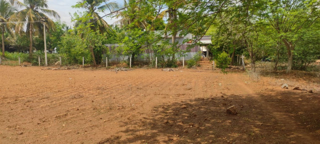 1Acre 16 cent land for sale. 1.16 Acre