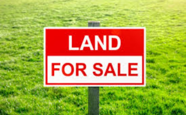 Plot for sale