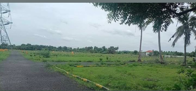 Low-budget plot for sale near Chengalpattu 