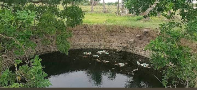 Low-budget plot for sale near Chengalpattu 