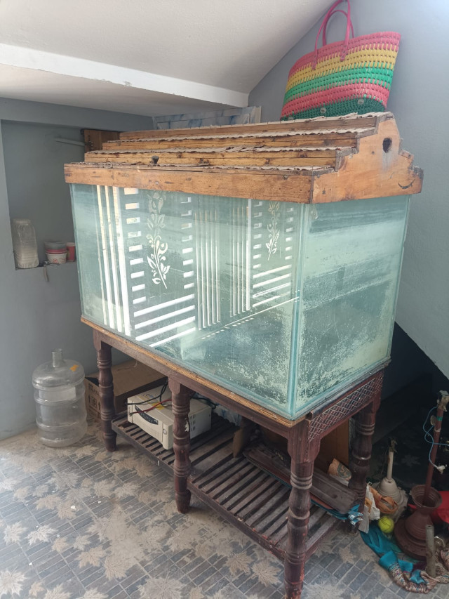 Fish tank