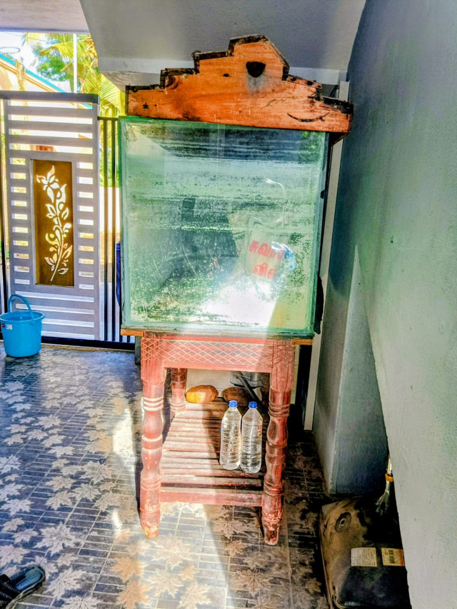 Fish tank