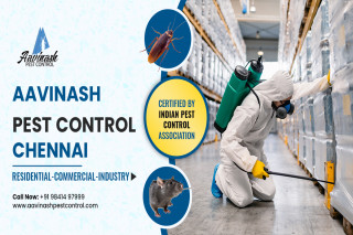 Best Pest Control Services experts in Chennai – Aavinashpestcontrol.com