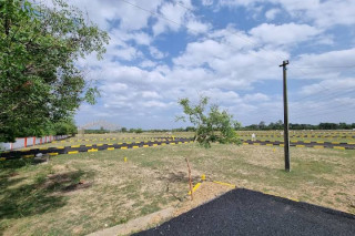 Low-budget plot for sale near Chengalpattu 