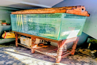 Fish tank